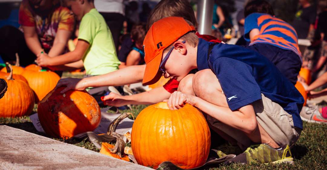 38th Annual Black Gold Walnut Festival