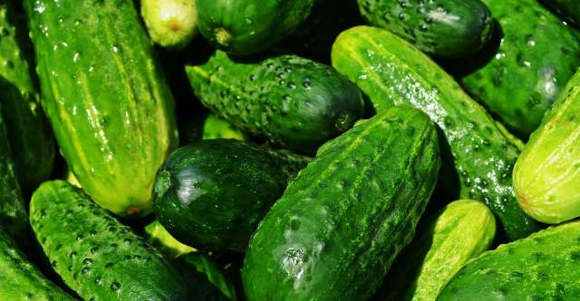 Cucumbers ideas.