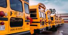 Back to school, school buses