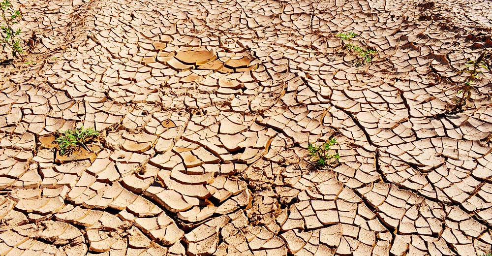 Cracked, hard dirt caused from a drought and hot weather.