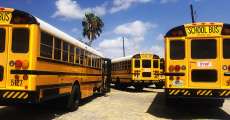 Public school buses.