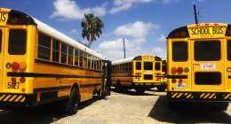 Public school buses.