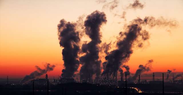 Plant with smoke against a sunset.