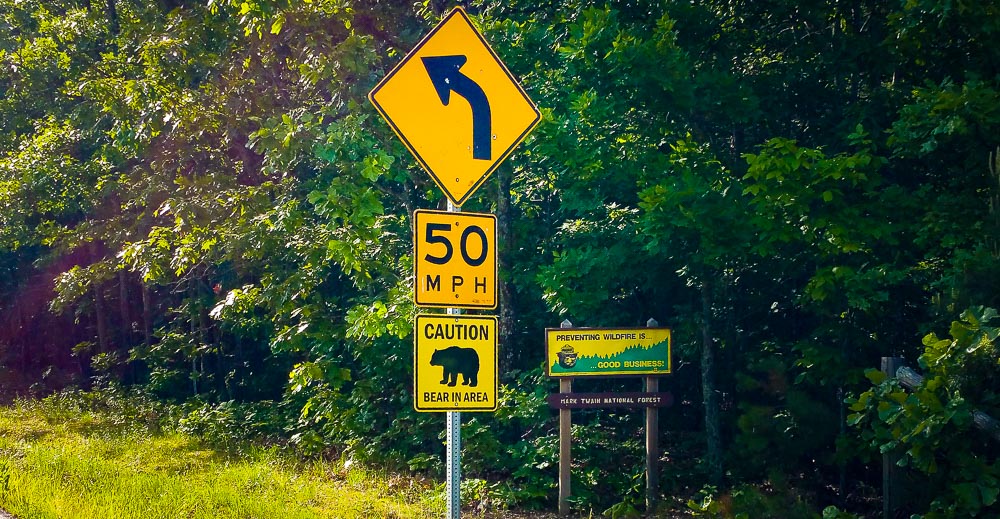 Bear in Area sign.