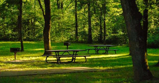 Picnic tables at recreational area.