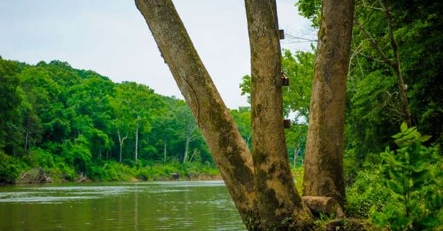 Whitten River Access.