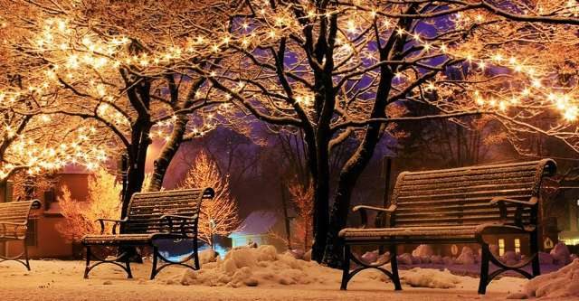 Christmas lights in snowy park.