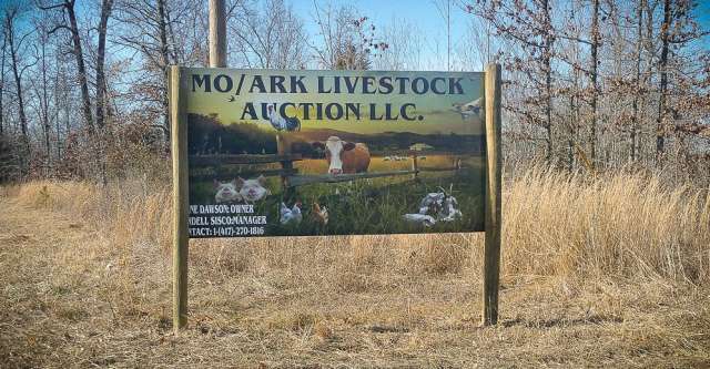 MO/ARK LIVESTOCK AUCTION LLC. sign on highway AA in Alton Missouri.