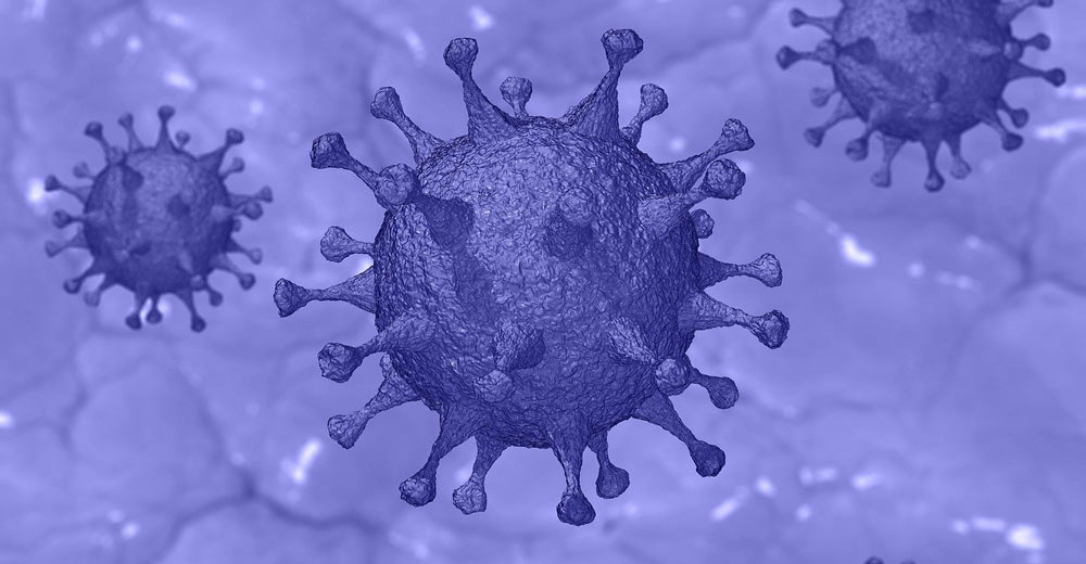 The COVID-19 Virus.