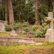 A graveyard.