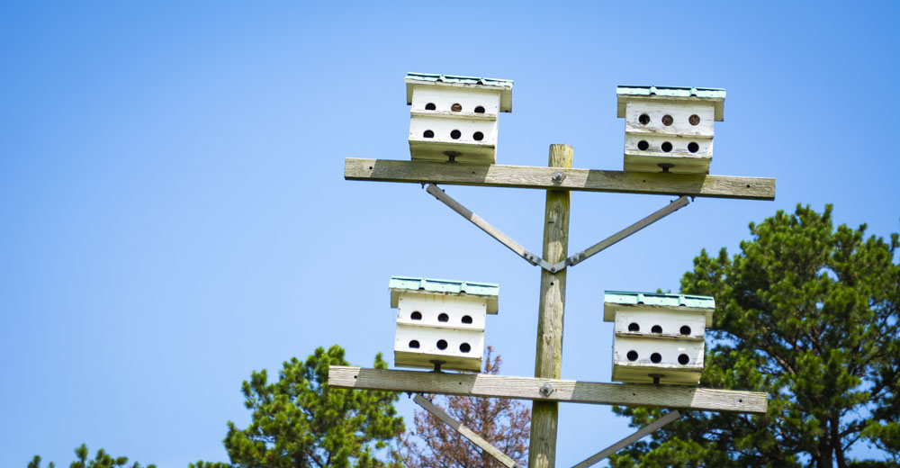 A bird house in park.