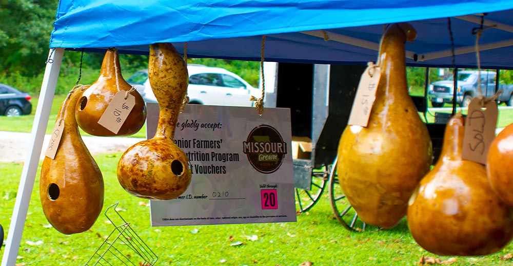 Gourd bird houses at Farmers Market