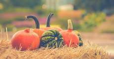 A pile of pumpkins on a hay bale.
