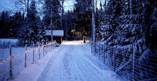 Christmas lights on fence on the side of the road
