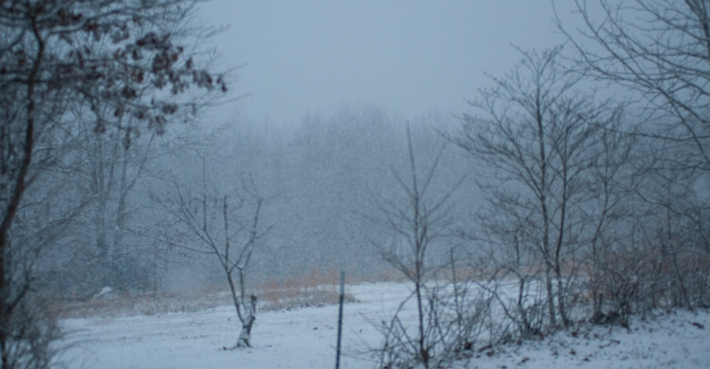 Snow At 100°F? NOAA Forecasts Snow For Alton On Saturday Alton MO