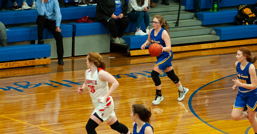 The Whippets Kick The Tails Of The Comets In The BSC Tournament Alton MO