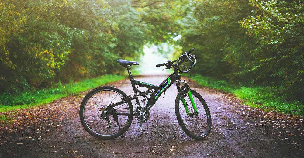 bike on path in woods