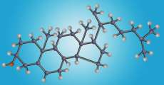 Cholesterol atom structure