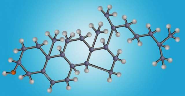 Cholesterol atom structure