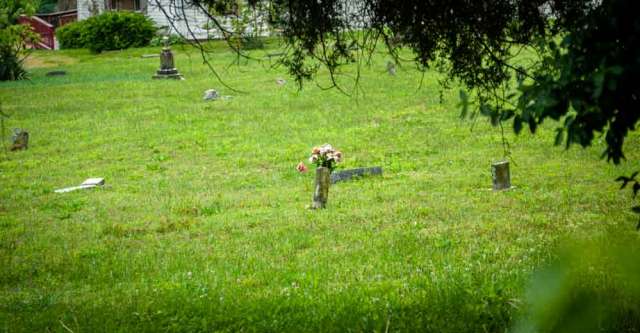 Flowers inside of a grassy graveyard