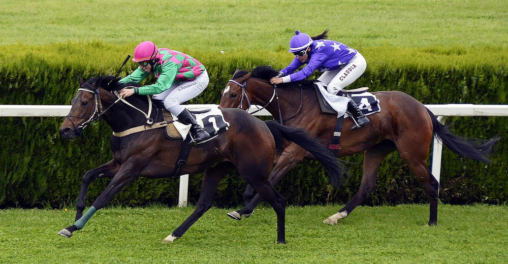 Horses running a race.