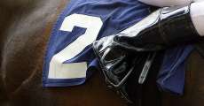 A jockey number on horse