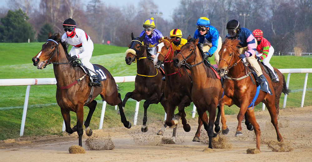Horses racing on a dirt track