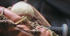 A Baseball, Bat, and Glove.
