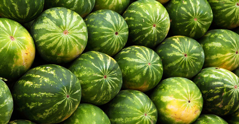 A pile of watermelons.