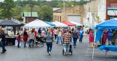 Crowds gather at Alton, Mo. Ozark “Black Gold” Walnut Festival 2021