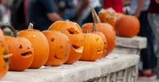 Pumpkins lined up to be judged for the Pumpkin carving contest on October 2, 2021 at Alton, Mo.