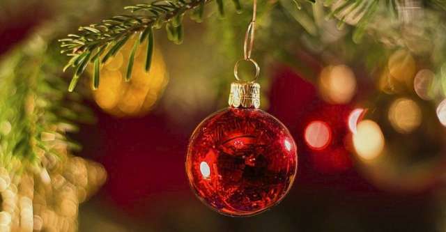 Christmas bulb on tree