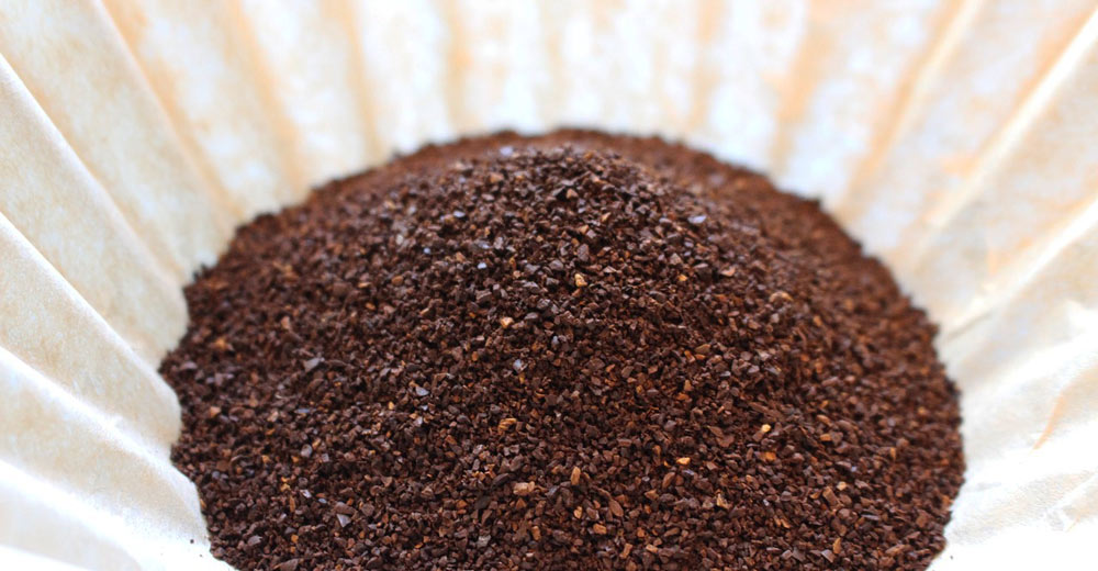 Coffee filter with coffee