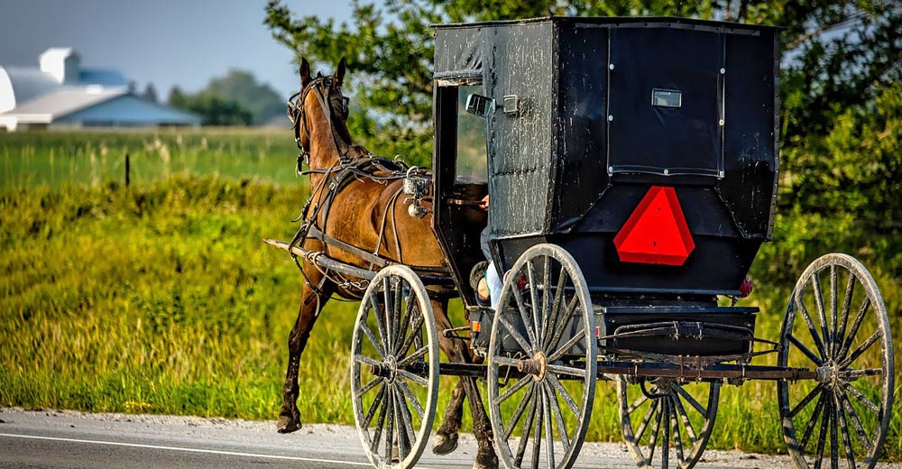 Horse and buggy
