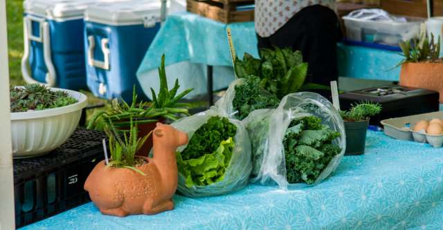 Bunches of kale and lettuce along with some plants available at the Oregon County Farmer's Market on June 11, 2022.