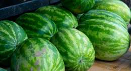 CampRiver 30 260x140