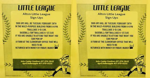 Little League sports flyer