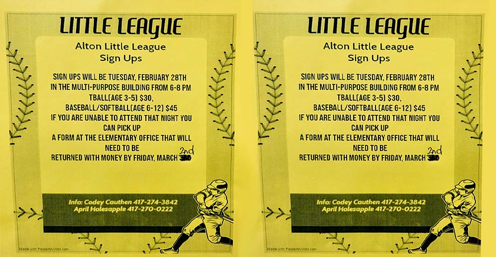 Little League sports flyer