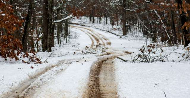 A snowy dirt road winding through the forest.