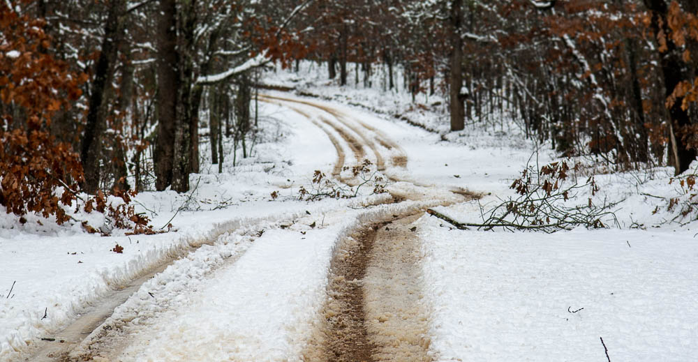 A snowy dirt road winding through the forest.