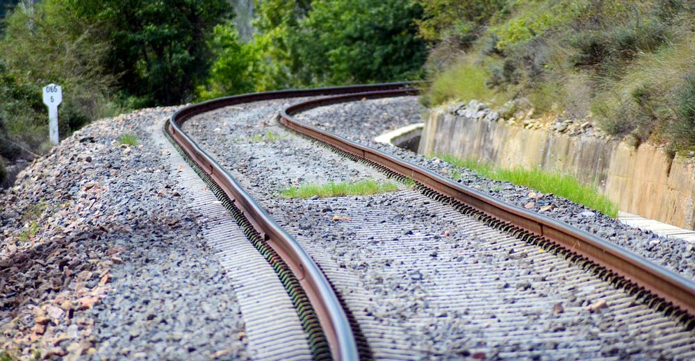 Railroad tracks going through a woods.