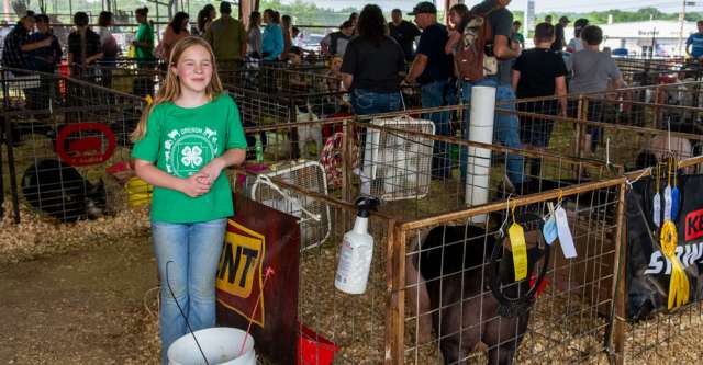 Macie Anderson standing beside her hog at the Heart of the Ozarks Fair on June 6, 2023.