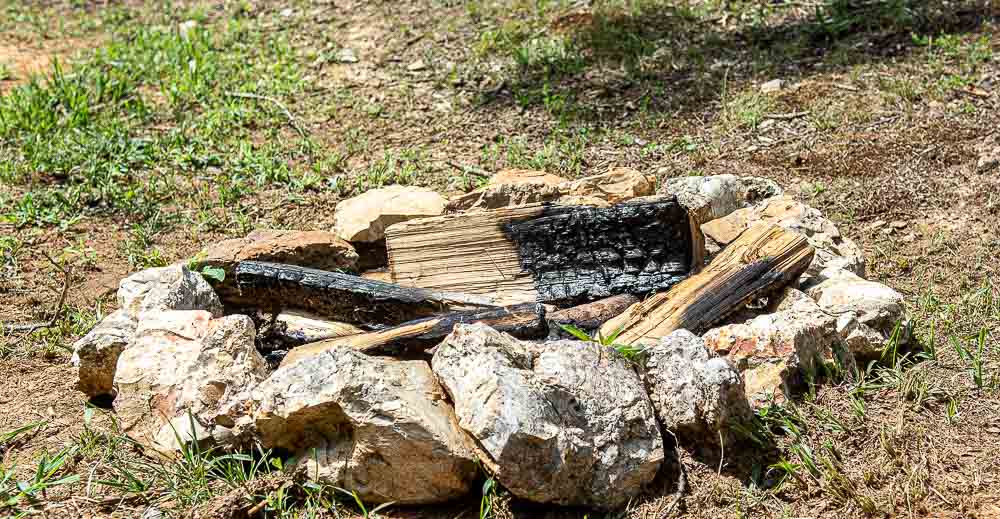 Burnt wood in a campfire