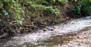 Thomasvilleduckrace 1 300x156