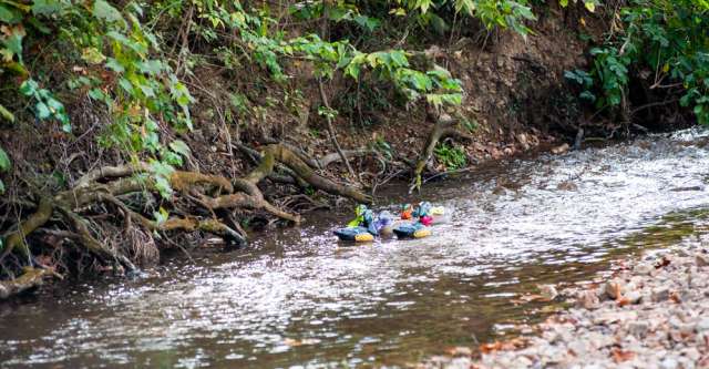Thomasvilleduckrace 1 640x333