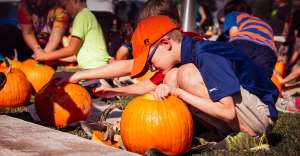 walnut festival 2018 9821 300x156