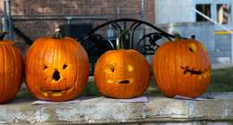 2022blackwalnut 712981 260x140