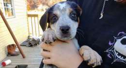 IMG 20231110 1406069142 260x140