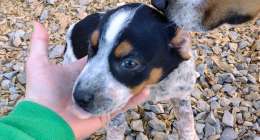 IMG 20231110 1406403862 260x140