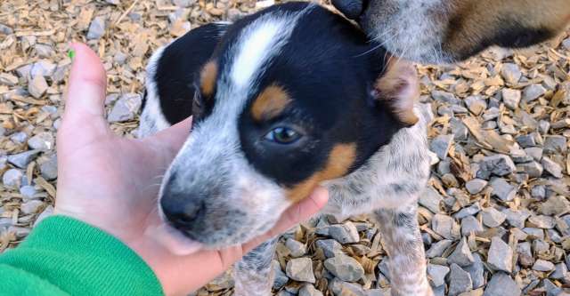 IMG 20231110 1406403862 640x333